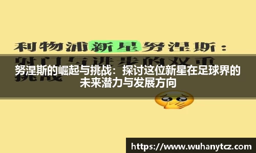 努涅斯的崛起与挑战：探讨这位新星在足球界的未来潜力与发展方向