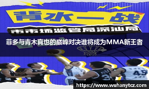 菲多与青木真也的巅峰对决谁将成为MMA新王者